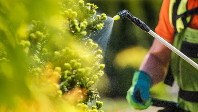 Bioherbicides Market Competitive Insights, Demand and Product Scope