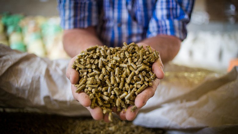 Cattle Feed Market Prominent Drivers, Segmentation, Overview & Future Prospects