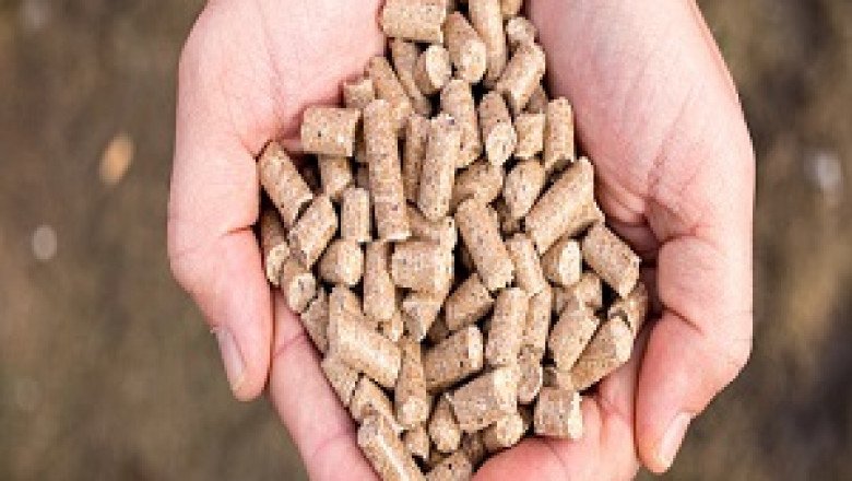 Compound Feed Market In-Depth Assessment and Opportunity Analysis with Top Countries Data