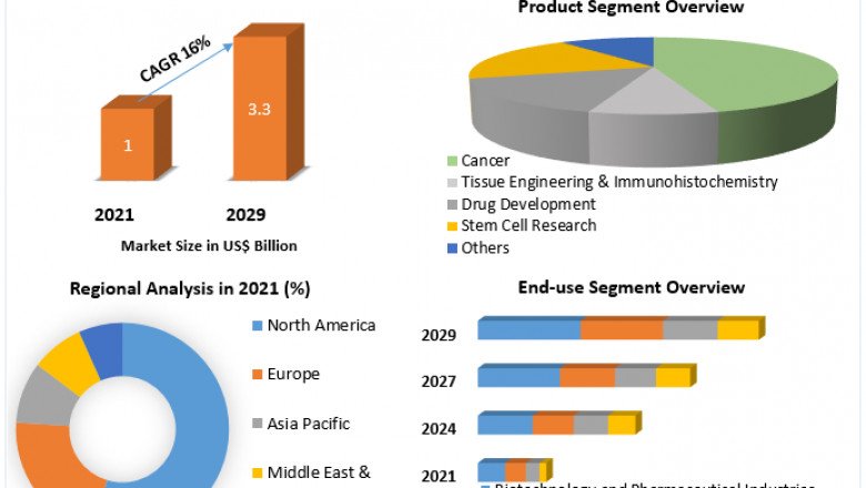 3D Cell Culture Market Growth Status, Region And Forecast 2029