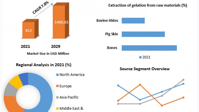 Collagen Peptide and Gelatin Market by Type, Technology, Region And Forecast 2029