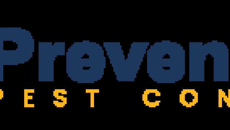 Preventive Spider Control Brisbane