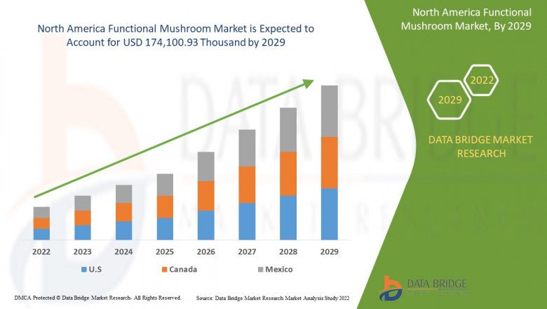 North America Functional Mushroom Market Leader