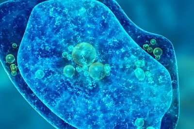 Single Cell Analysis Market Insights, Overview and Technological Advancements during the Forecast 2022-2028