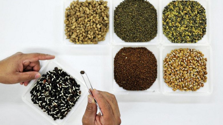 Forage Seed Market- Global Value and Forecast Analysis 2022-2028