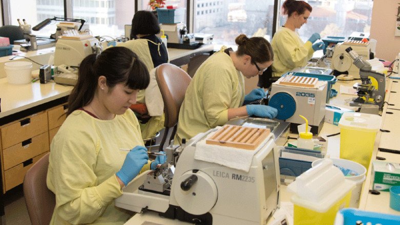 Forecasting 2022-2028: Global Anatomic Pathology Market trends, share, size, growth, opportunities, and forecasts