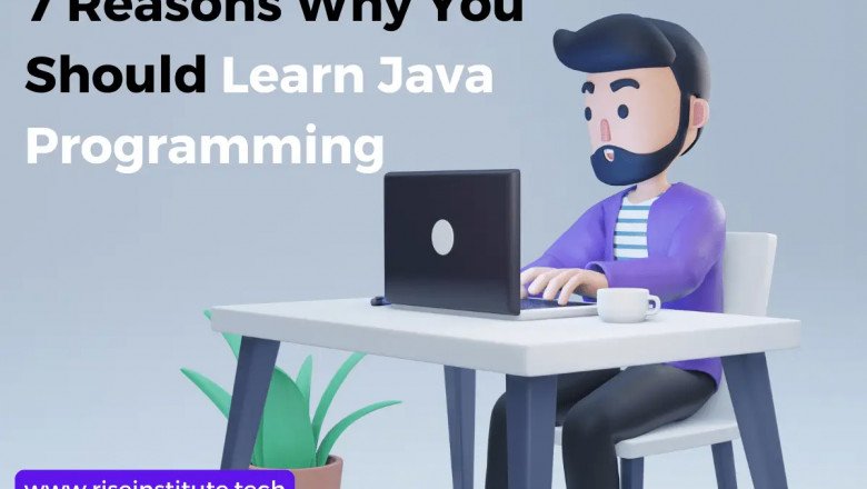 7 Reasons Why You Should Learn Java Programming - Rise Institute
