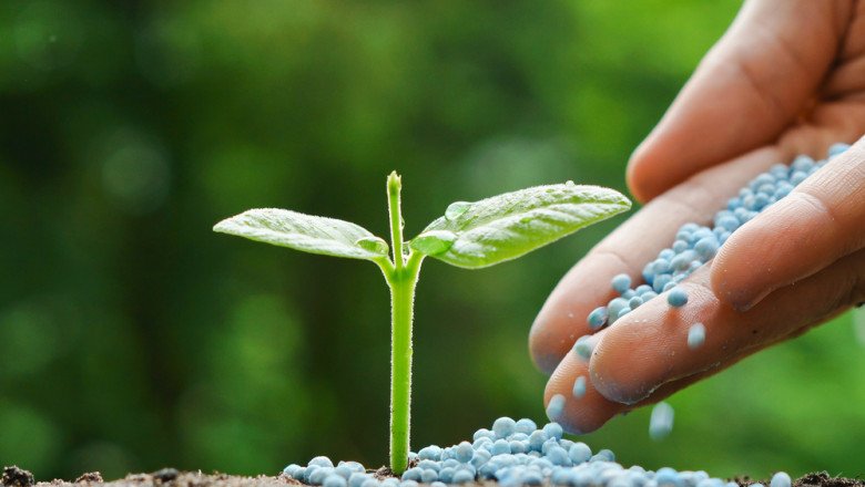 A study of the global Complex Fertilizers Market : trends, market size, growth, opportunity, as well as forecasts for 2025