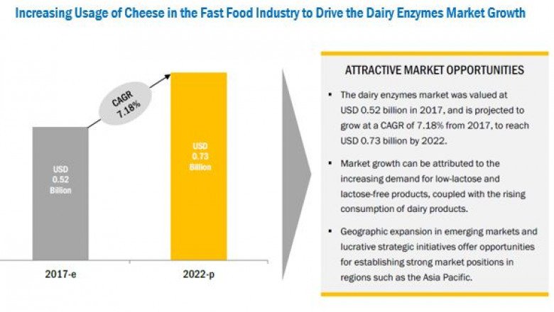 Increasing Consumption of Dairy Product Drives Market for Dairy Enzymes