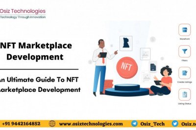 What Do You need to Check in an NFT Marketplace Development Company Before Investing in It?