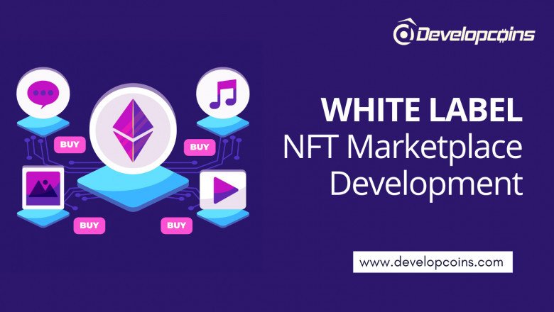 Steps To Create White Label NFT Marketplace Development