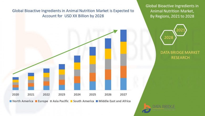 Bioactive Ingredients in Animal Nutrition Market Performance, Segmentation, Top Players, Future Growth and Forecast to 2028