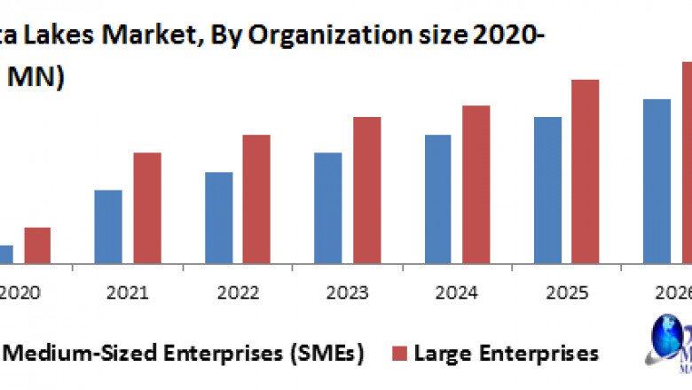 Data Lakes market Size Study, By Type, Application and Regional Forecasts 2027