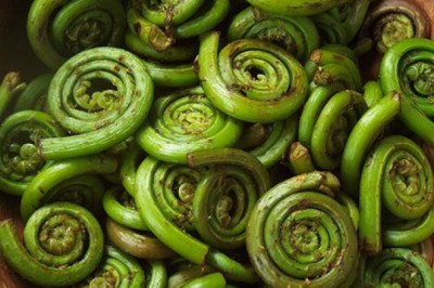 Health Benefits Of Fern Vegetables