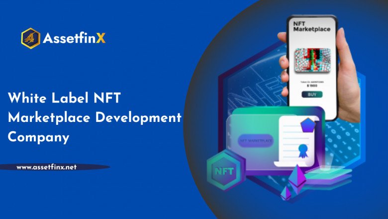 White Label NFT Marketplace Development Solution- Assetfinx