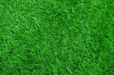 Want to give your garden a natural, green appeal? Buy Artificial Grass Garden!