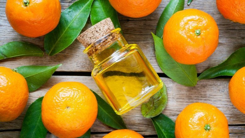 Here are Few of the Characteristics of Citrus Flavors
