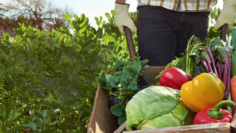 A study of the global Organic Farming Market : trends, market size, growth, opportunity, as well as forecasts for 2018-2026