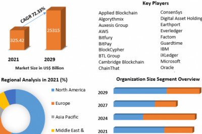 Blockchain Insurance Market Size, Revenue, Future Plans And Forecast 2029