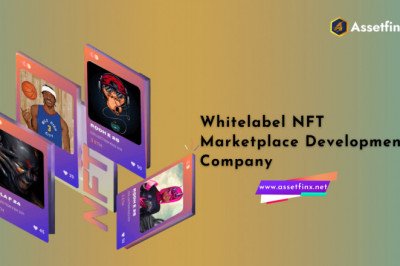 How Did White Label NFT Marketplace Development's Hype Start?