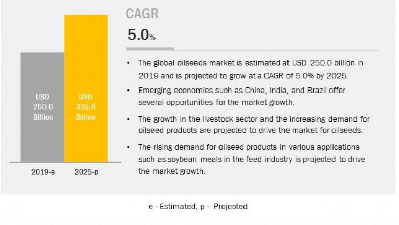 Oilseeds Market Opportunities and Forecast Assessment 2019 – 2025