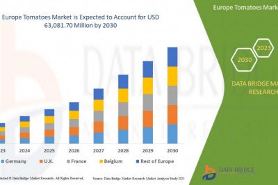 What are the business Opportunities  Europe Tomatoes Market 2030 .