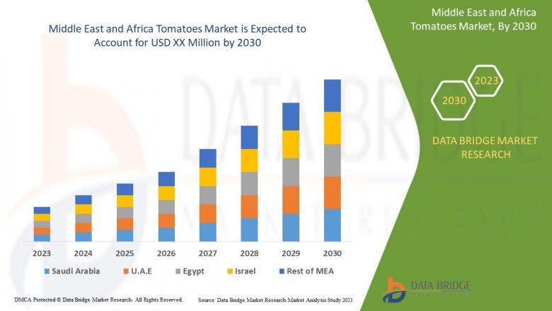 What are the business Opportunities Middle East and Africa Tomatoes Market 2030 .