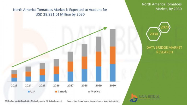 What are the business Opportunities North America Tomatoes Market 2030 .