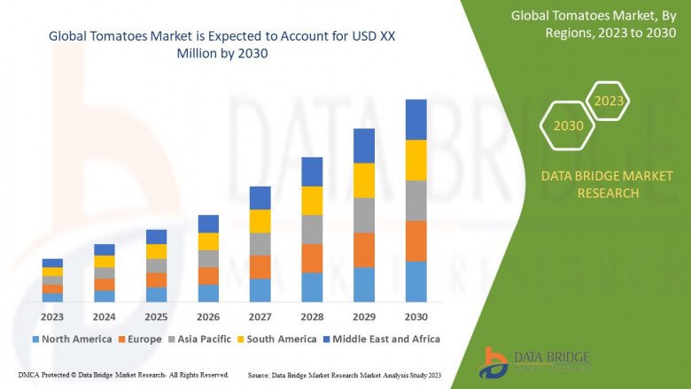What are the business Opportunities Tomatoes Market 2030 .