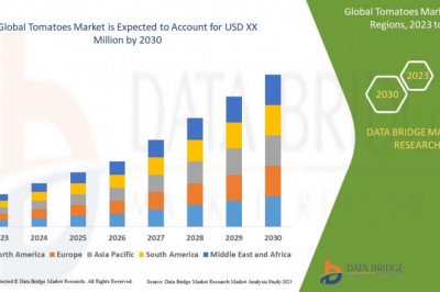 What are the business Opportunities  Tomatoes Market 2030 .