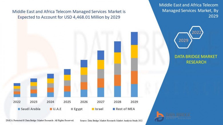 Middle East and Africa Telecom Managed Services Market Insight on Share, Application, and Forecast Assumption 2029