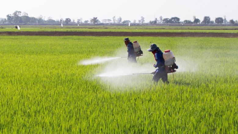 A study of the global Crop Protection Chemicals Market : trends, market size, growth, opportunity, as well as forecasts for 2022-2028