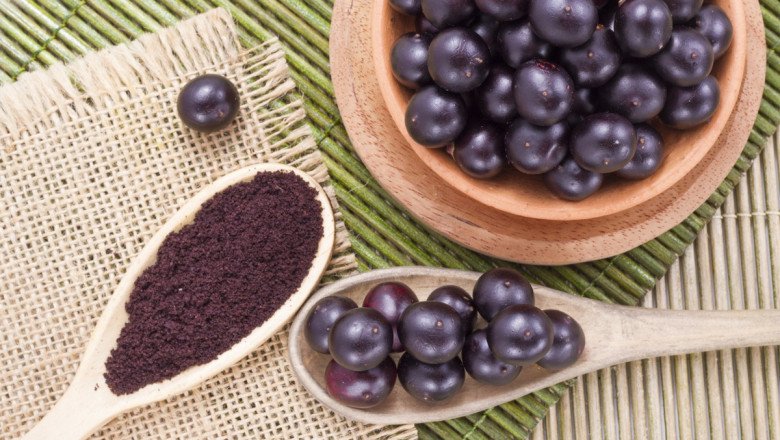 Originally Native To South American Rainforests, Acai Berry Look Like Grapes