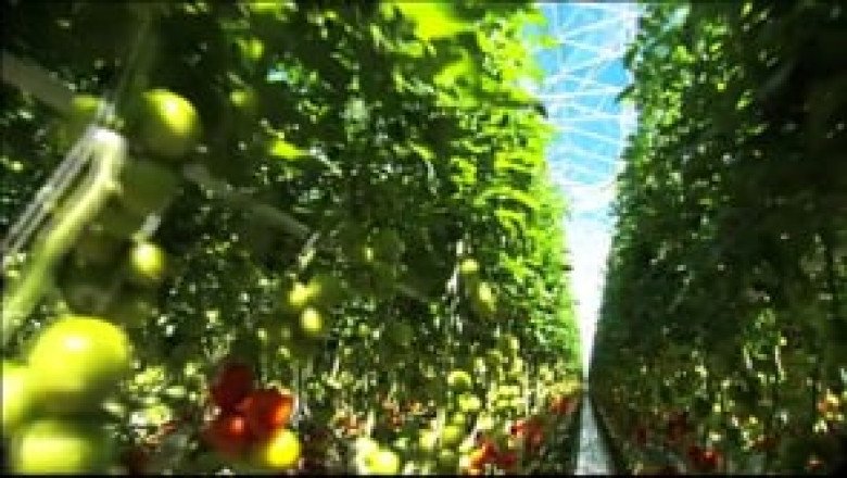 Village Farms International Promotional Video