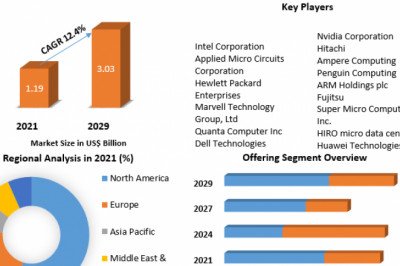 Micro Server IC Market Size, Regional Developments, Major Geographies And Forecasts 2029