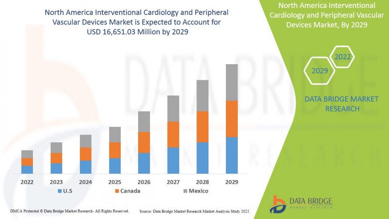 North America Interventional Cardiology and Peripheral Vascular Devices Market Focused Growth forecast period of 2022-2029.