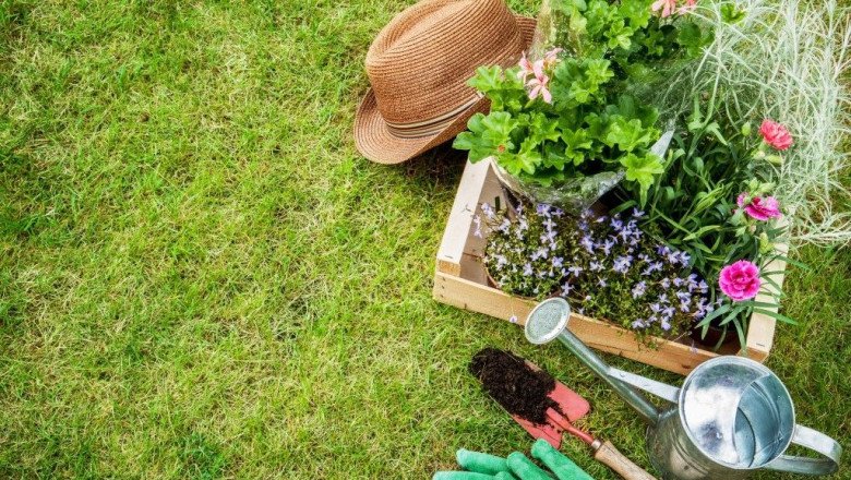 Global Landscaping Tools Market : Trends, Size, Growth, Opportunity, and Forecast to 2022-2028