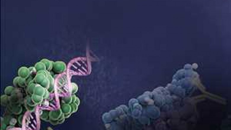 Clinical trials for drug development use Protein Expression Systems widely