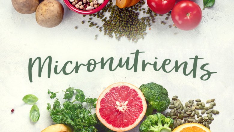Micronutrients Market – Forecast (2022-2027)