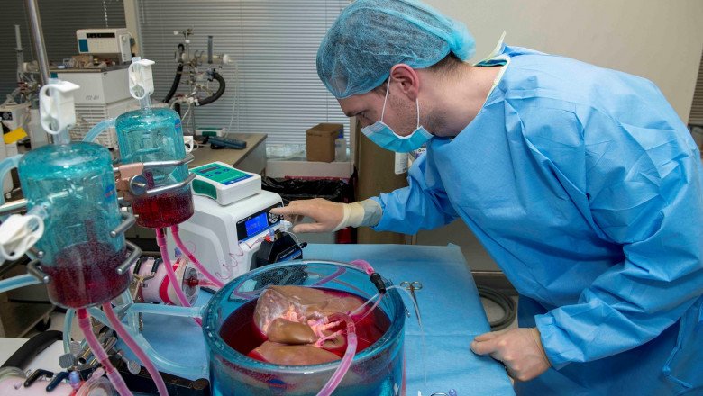 Factors Driving Growth for Global Transplant Diagnostics Market, Forecast Analysis 2017-2025