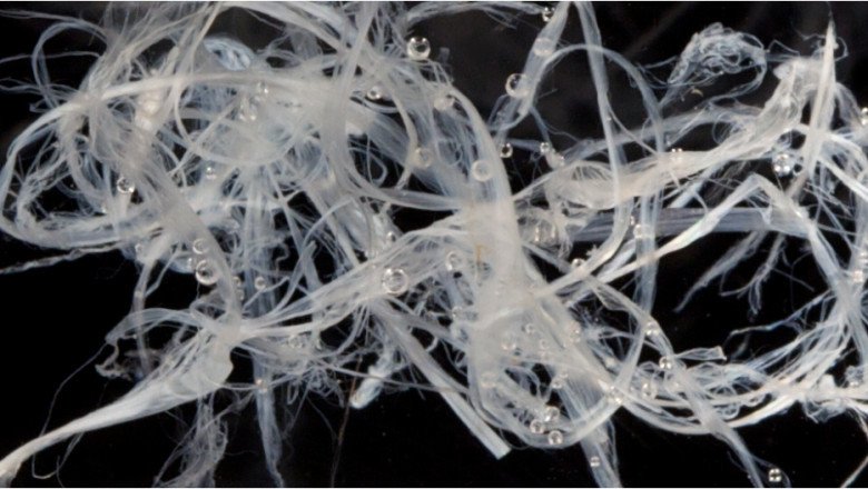 Recyclable and biodegradable, Synthetic Spider Silk replaces silkworm silk