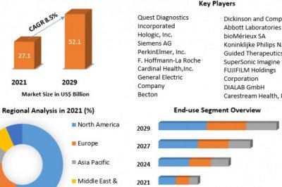 The Global Womens Health Diagnostics Market Industry Outlook, Size, Growth Factors, and Forecast To, 2029