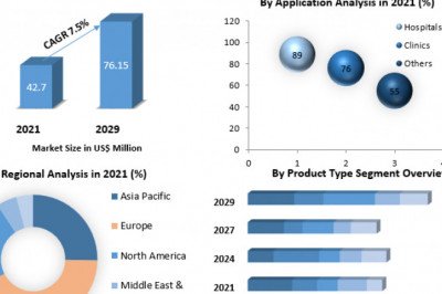 "The Regulatory Environment of Endoscopy Devices: Challenges and Compliance"