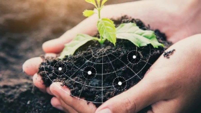 Biofungicides Market – Forecast (2022-2027)