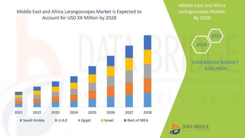 Middle East and Africa Laryngoscopes Market Share, Demand, Top Players, Industry Size, Revenue Analysis, Top Leaders and Forecast 2028