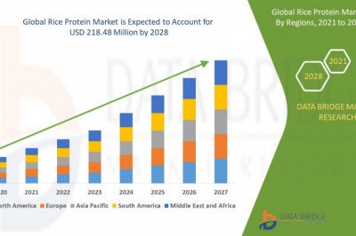Rice Protein Market: Trends, Forecast and Competitive Analysis 2028