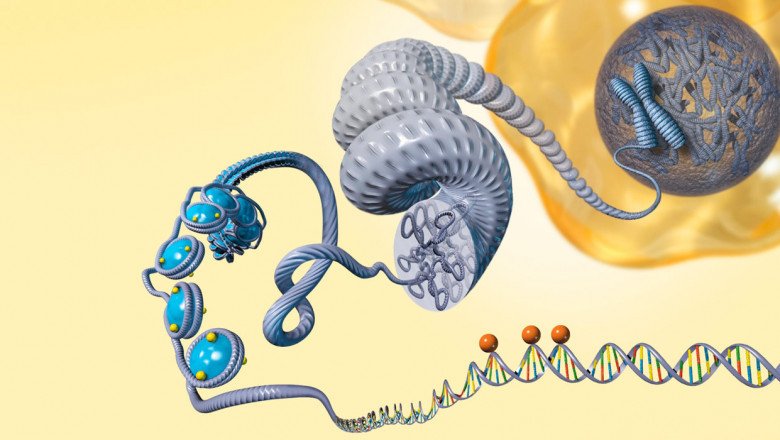 Epigenetics Market: Global Industry Trends, Share, Size, Growth, Opportunity and Forecast 2022-2028