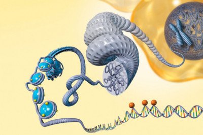 Epigenetics Market: Global Industry Trends, Share, Size, Growth, Opportunity and Forecast 2022-2028