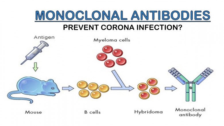 Monoclonal Antibodies Market: Global Industry Trends, Share, Size, Growth, Opportunity and Forecast 2020-2027