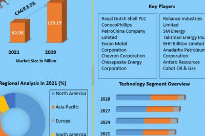 Shale Gas Market 2029 By Component, by Vehicle Type, By Distribution Channel and Region